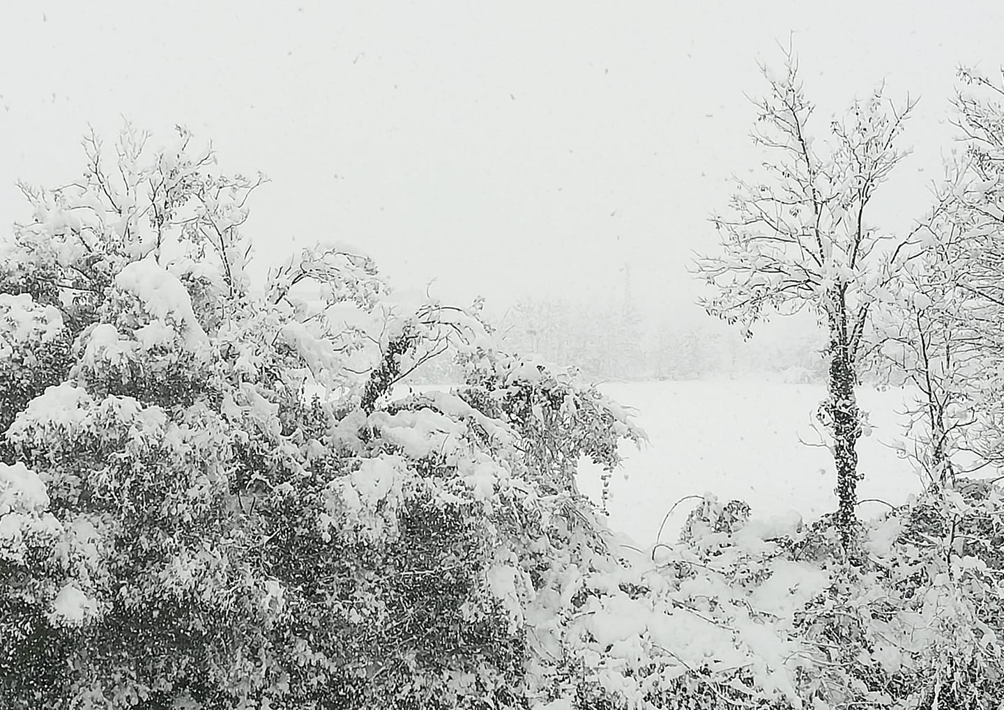 Aggiornamento neve Aggiornamento neve