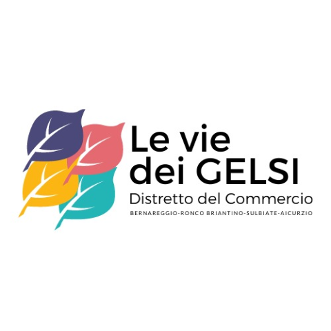 COMMERCIO | Ufficialmente riconosciuto da Regione Lombardia il Distretto del Commercio “Le vie dei Gelsi”