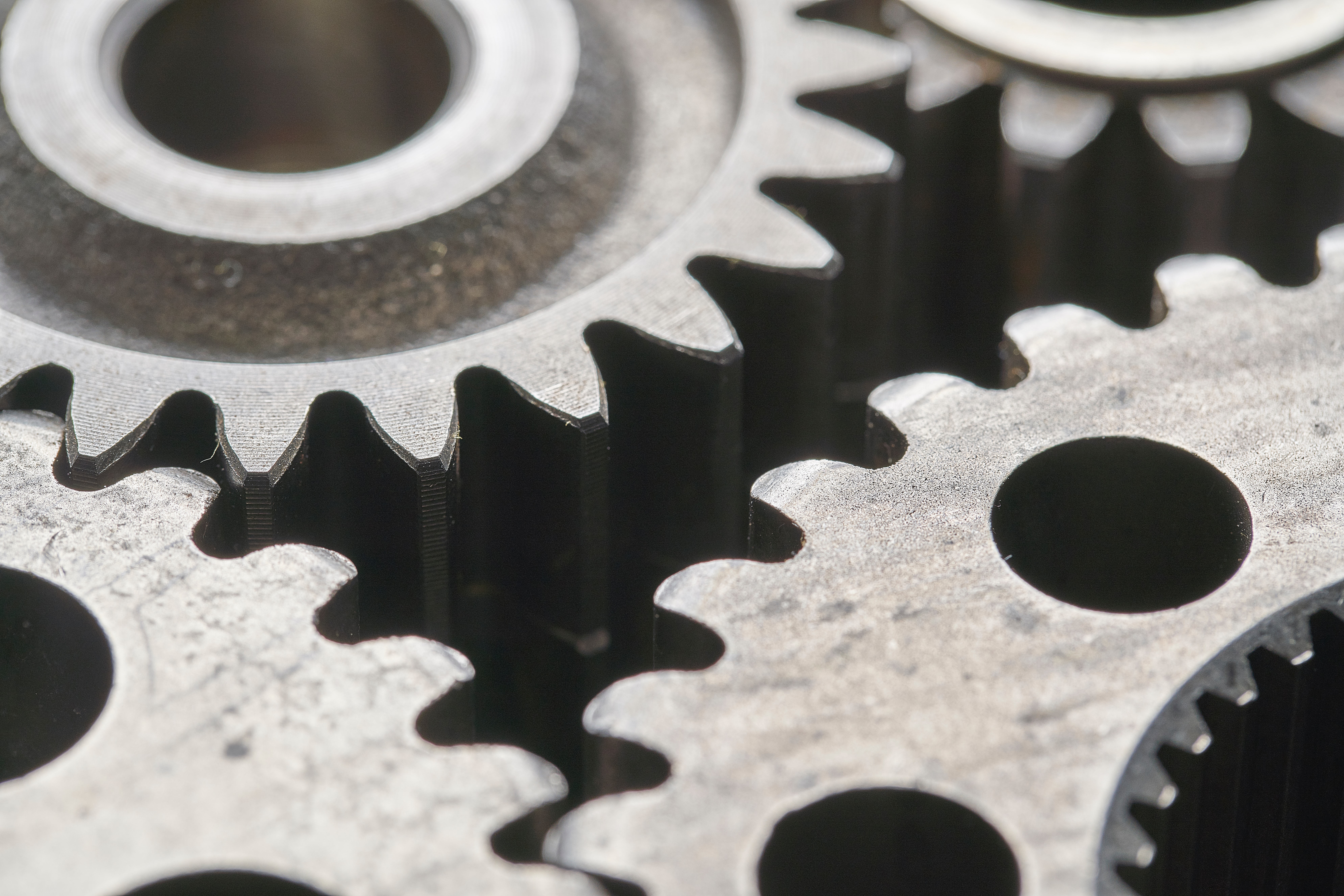 PRODUTTIVITÀ | Il Comune promuove questionario di indagine per attività commerciali, artigianali e produttive