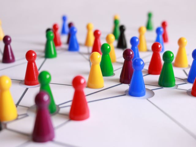 CONSULTE | Convocazione della Consulta Salute