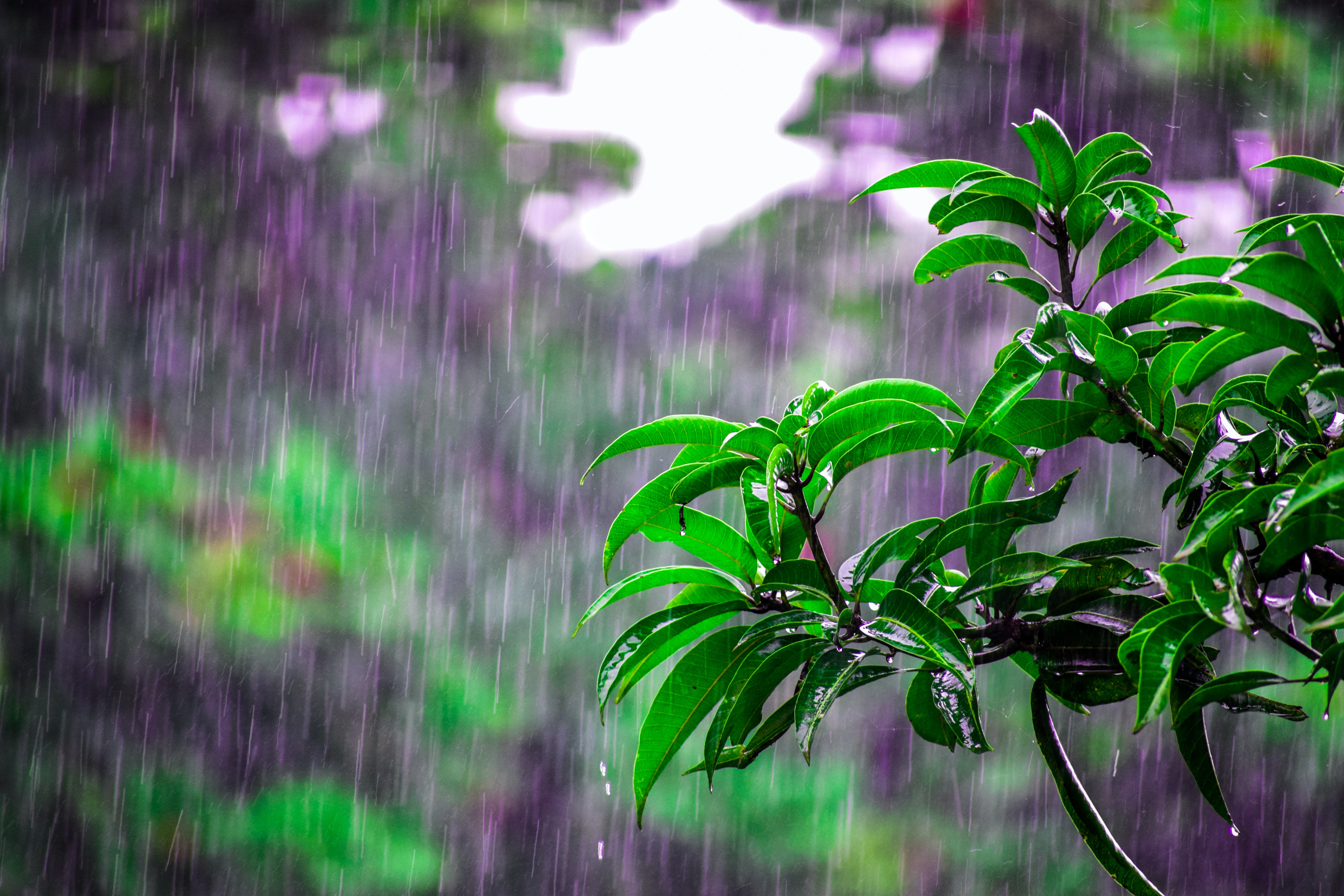 METEO | Allerta criticità moderata 10, 11 e 12 luglio 2020
