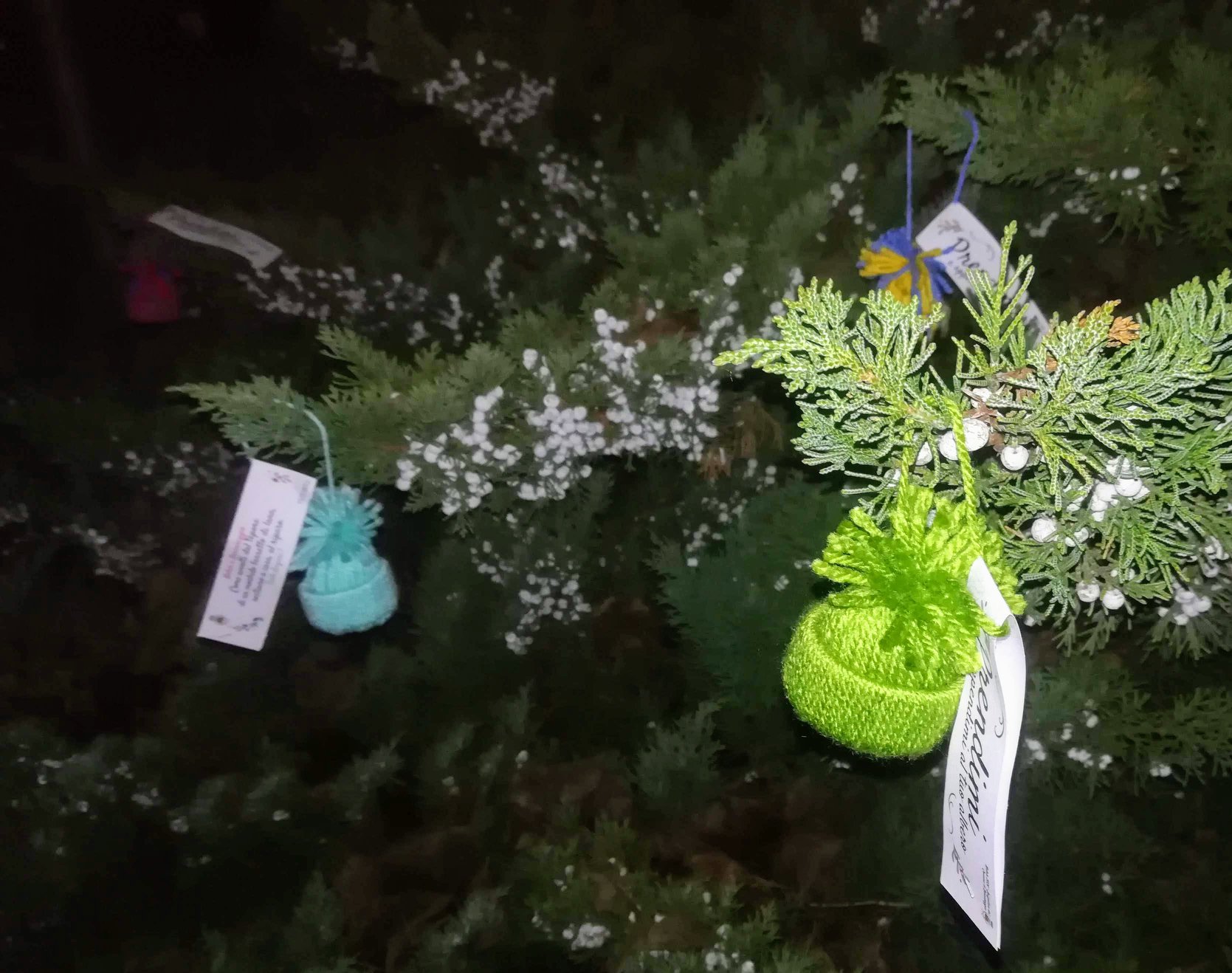 NATALE A BERNAREGGIO | Un piccolo pensiero per i cittadini da parte dell'Amministrazione Comunale