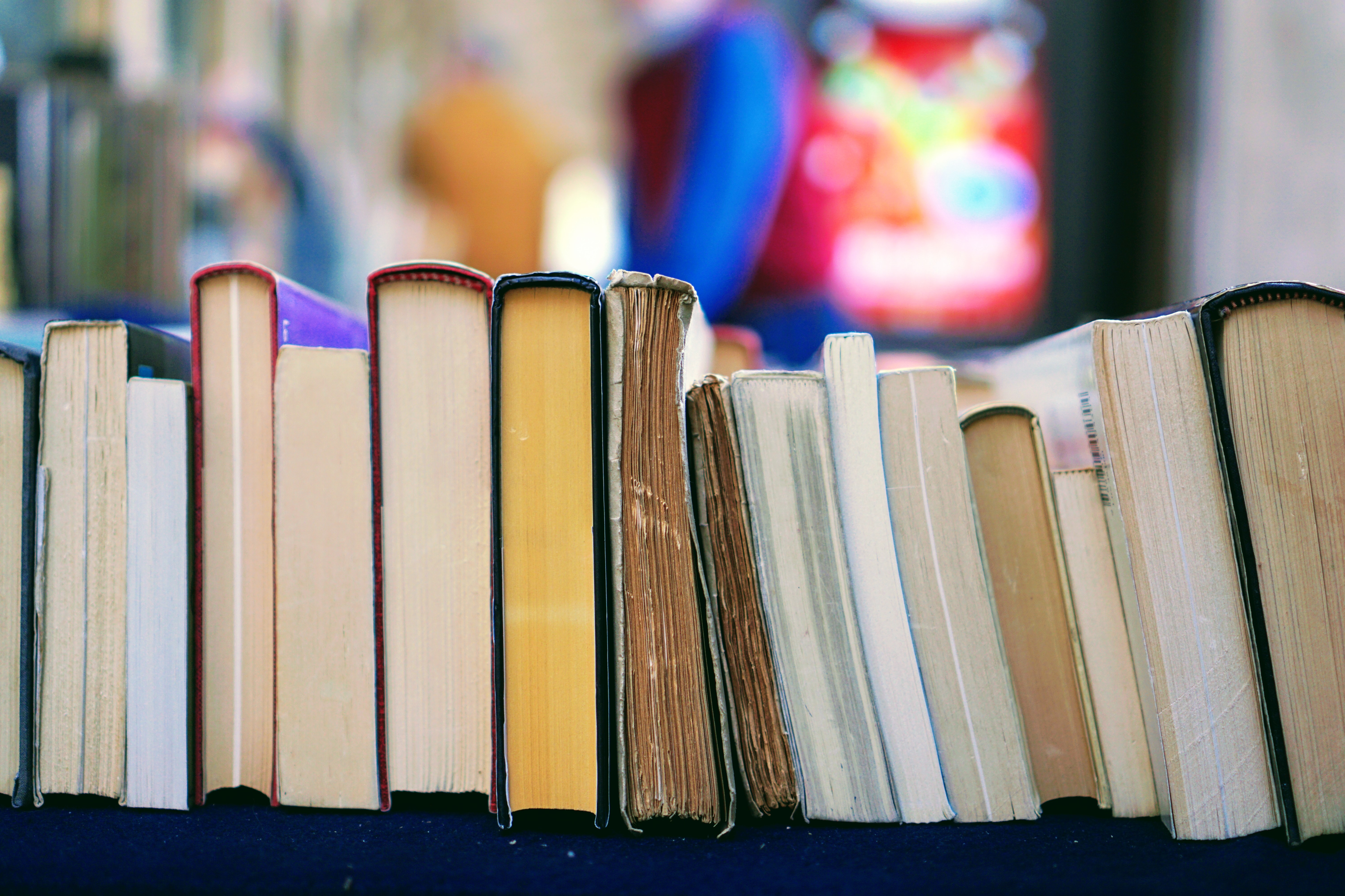 BIBLIOTECA | Orario del mese di agosto
